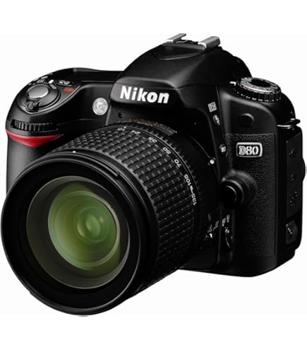 Amazon.com : Nikon D300 DX DSLR Camera with 18-200mm f/3.5-5.6G ED