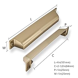 ZAUYX 2 Pack 2-1/2 Inch Center to Center Brushed