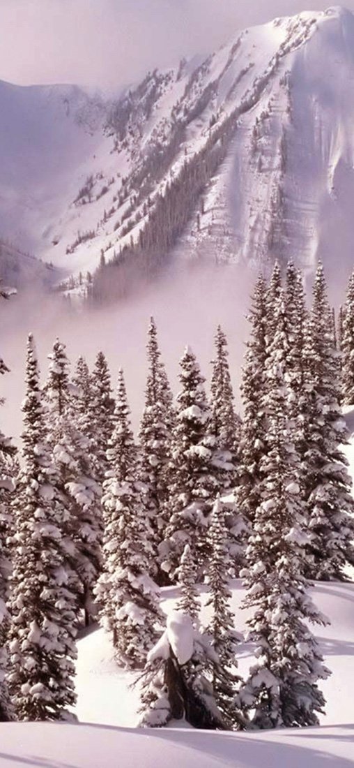 PeelitStickit, Beautiful Nature Wall Murals, ID-3225, vinyl