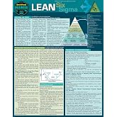 Lean Six Sigma - QuickStudy: Laminated Reference Guide