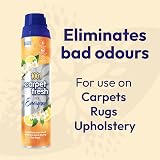 1001 Carpet Fresh Feel Energized 300ml Lemon Scent - Odor Elimination view 2
