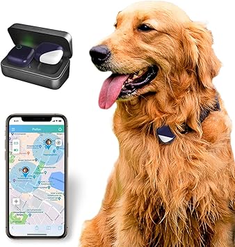 Amazon Petfon ペットgpsトラッカー 首輪 月間料金なし リアルタイム追跡 アプリコントロール 犬 ペット アクティビティモニター用 Only Dog Petfon ベーシック首輪 通販