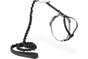 PetSafe Come with Me Kitty Cat Harness & Bungee Leash - Comfortable No-Choke Harness with Lightweight Bungee Leash for Outdoor Fun - Escape Free Pulling Prevention - Medium - Black