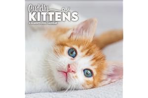 2026 Cuddly Kittens Mini Wall Calendar