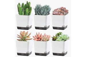 Oliz Succulent Pots, 3.1 inch Plastic Mini White Flower Planters with Drainage Hole for Indoor Office Home Plant Cactus Violet, Pack of 6(Plants Not Included)