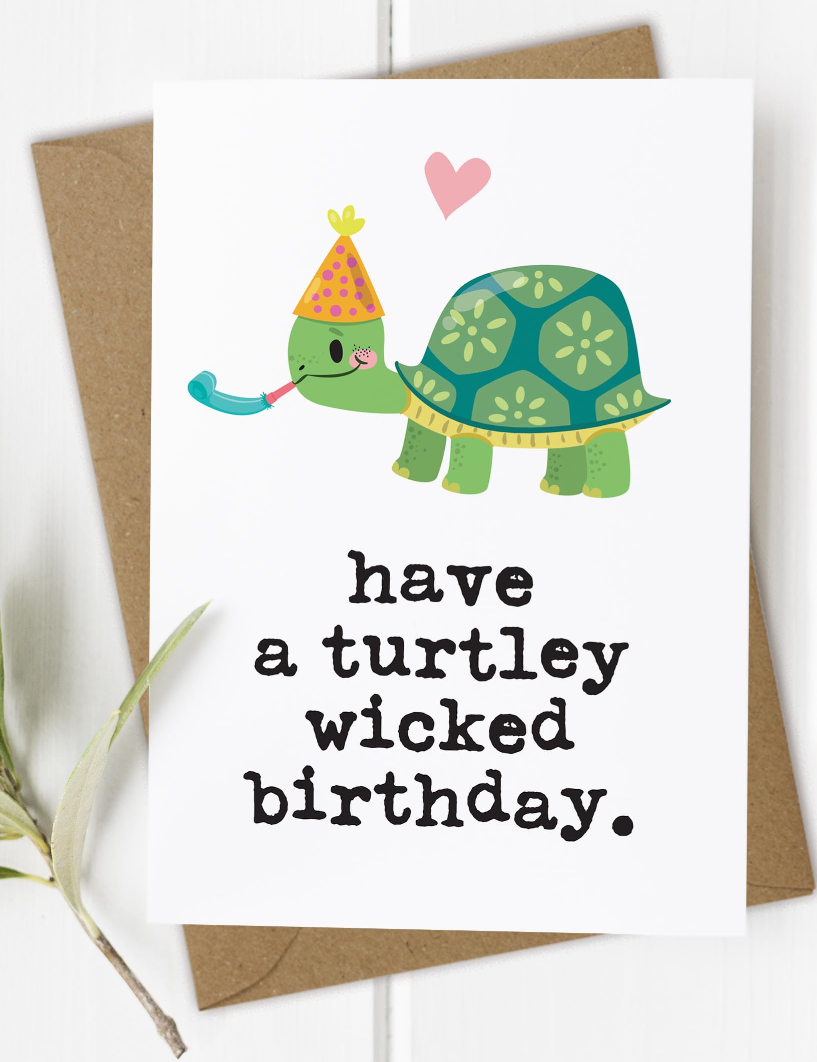 Funny Turtle Wicked Birthday Card, Funny Birthday Card for Friend, Him, Her, Girl, Boy