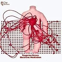 Electronic Meditation