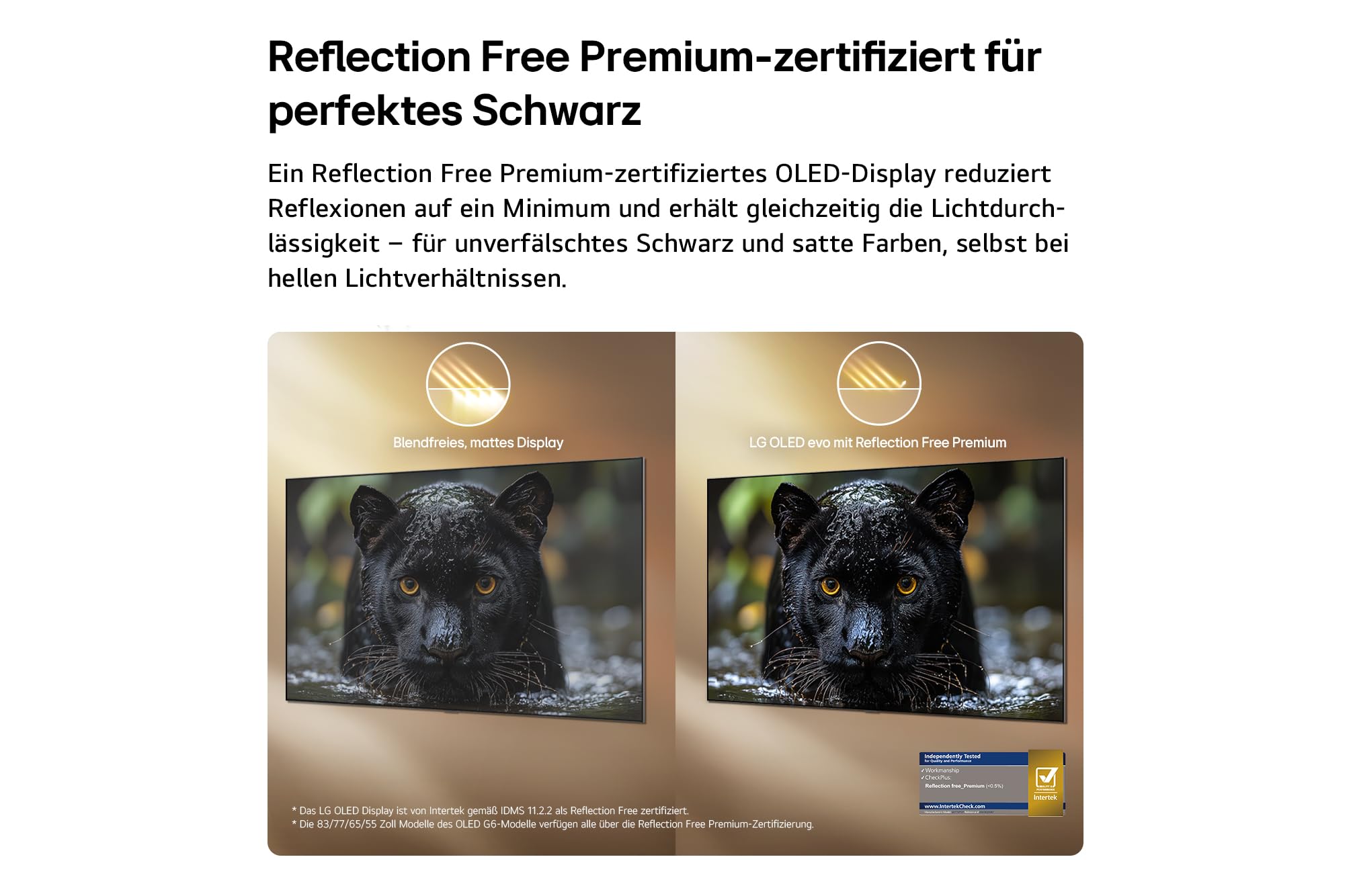 LG OLED77G67LW TV 77 Zoll (195 cm) 4K OLED evo AI TV (α11 Gen3 4K AI Prozessor, webOS 26, 120Hz (VRR bis zu 165Hz)) [Modelljahr 2026] [Energieklasse E] 5
