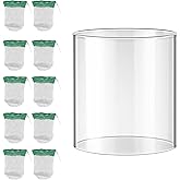 10 Pcs Propane Lantern Mantles with Lantern Globe Replacement Glass - Glass Globe Compatible with Coleman Fueled Lanterns, Propane Lantern Mantles Replacement Suitable for Outdoor Camping Lantern