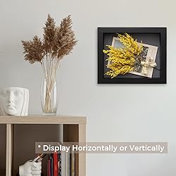 Golden State Art, 11x14 Shadow Box Frame Display