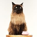 Tangle Teezer Pet Teezer Cat Brush Pink for Kittens & Cats Short to Medium Hair view 6