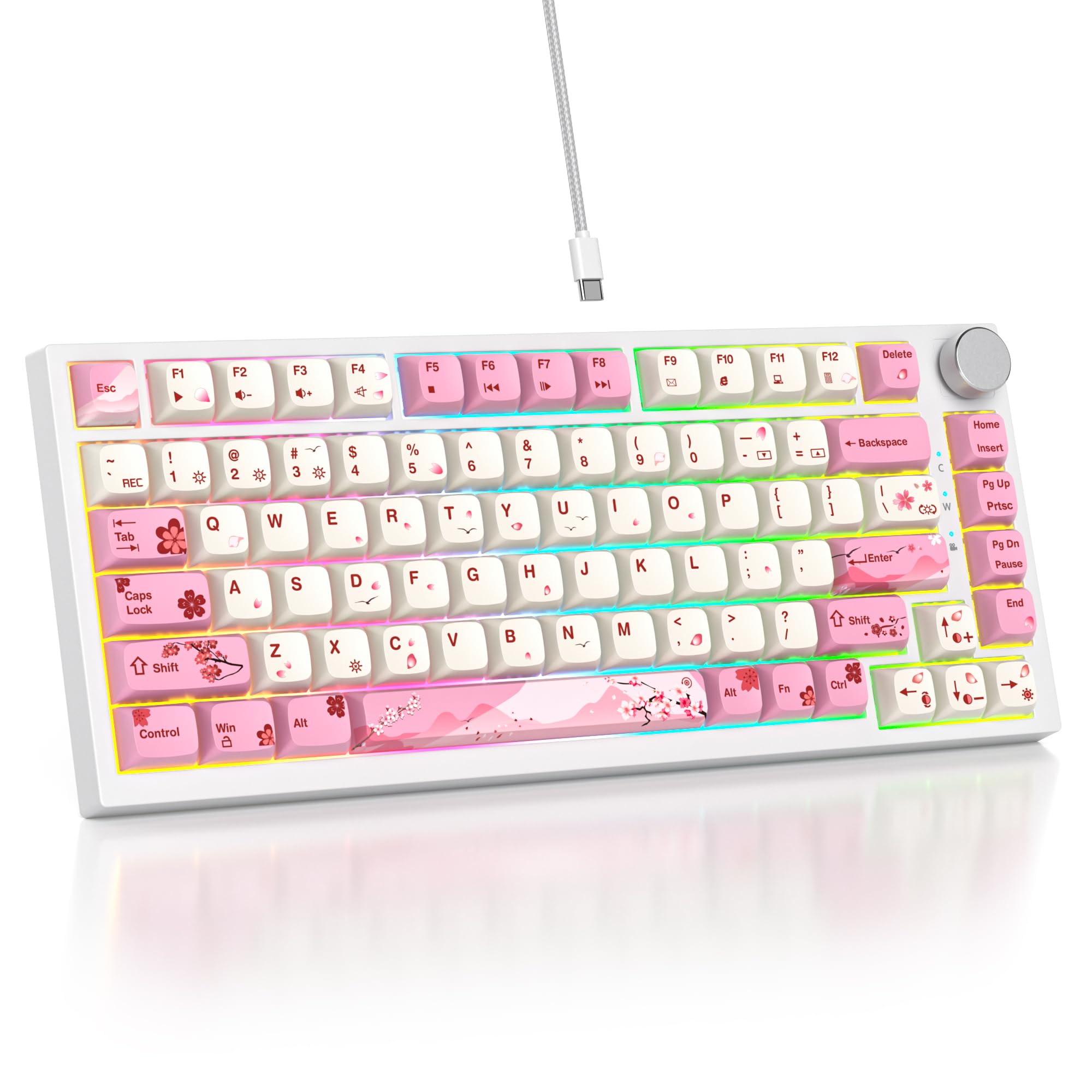 SbocKeeb 75 Percent Pink Keyboard Gasket-Mounted with Sound Absorbing Pads, 82-Key Compact Wired RGB Mechanical Gaming Keyboard Hot-Swap Socket for Win, Ying