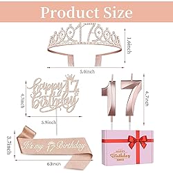 17th Birthday Decorations for Girls Including