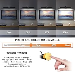 Picture Light with Remote, Led Accent Light