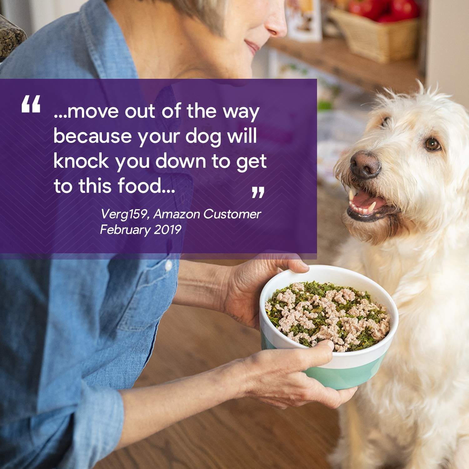 dr harvey's paradigm dog food