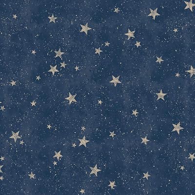 Fine Decor Starlight Stars Navy Wallpaper Paste the Paper Washable 53cm Drop