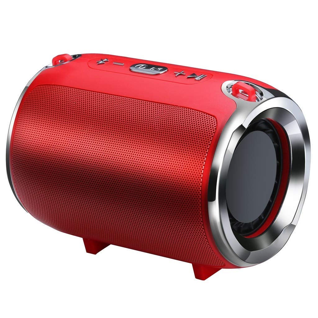  Totamala Wireless Bluetooth Speaker Music Player