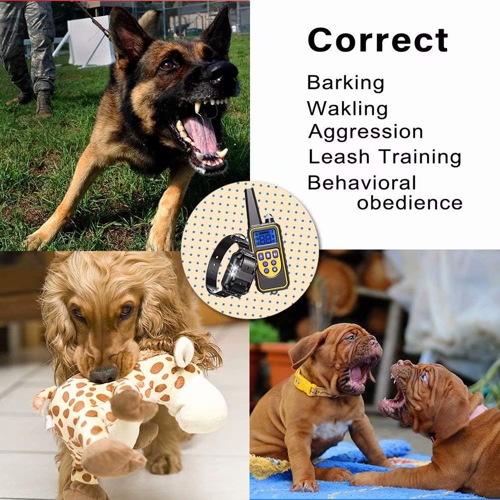 funshion shock collar