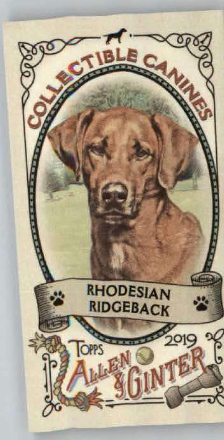 ridgeback mini