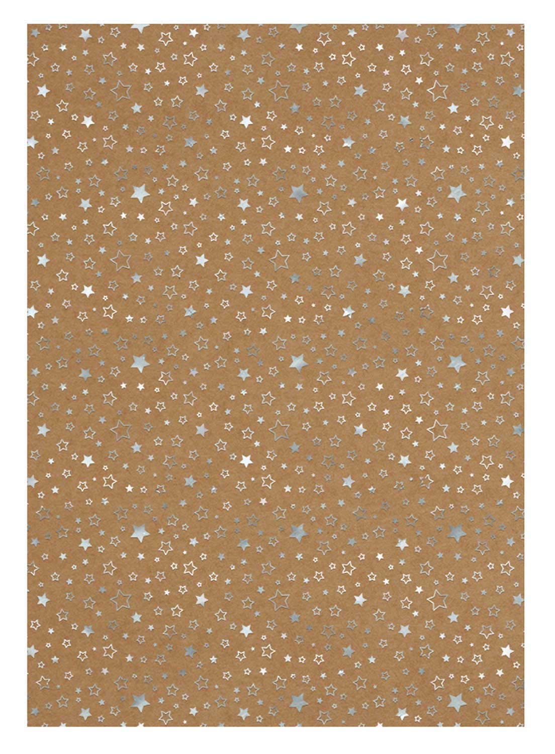 Ursus 62264605F Christmas Design Cardboard, 25 Sheets, Kraft Card, 250 g/m², DIN A4, Foil-Coated on One Side with Silver Stars, Multi-Coloured