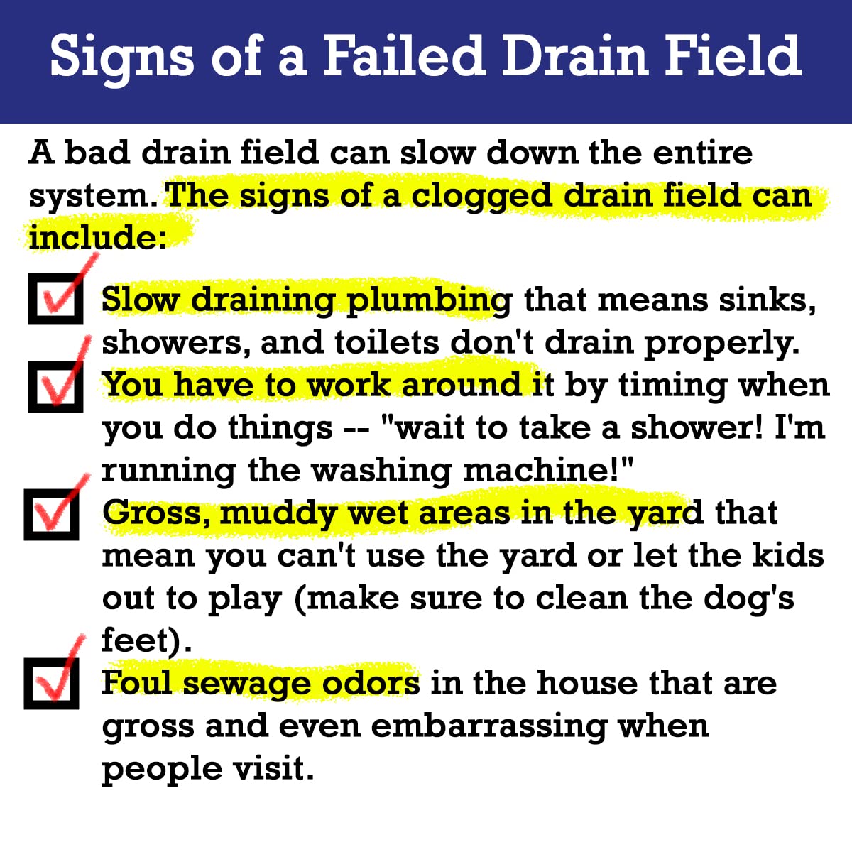 Drain Field Cleaner Tablets by Dr Pooper. Clears Septic Tanks and Drain Fields of Tough Clogs, Scum, Sludge AND Eliminates Odors FAST - Aerobic & Anaerobic Systems - Easy to Use, Just Flush.
