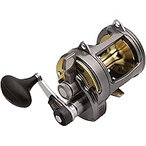 SHIMANO TYRNOS 30 リール Carretilha tyrnos 30ii Shimano Chumbo com Dourado Tamanho único