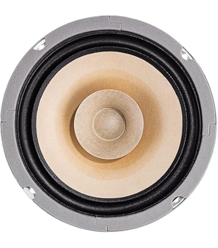Amazon.com: Visaton BG17-8 6.5