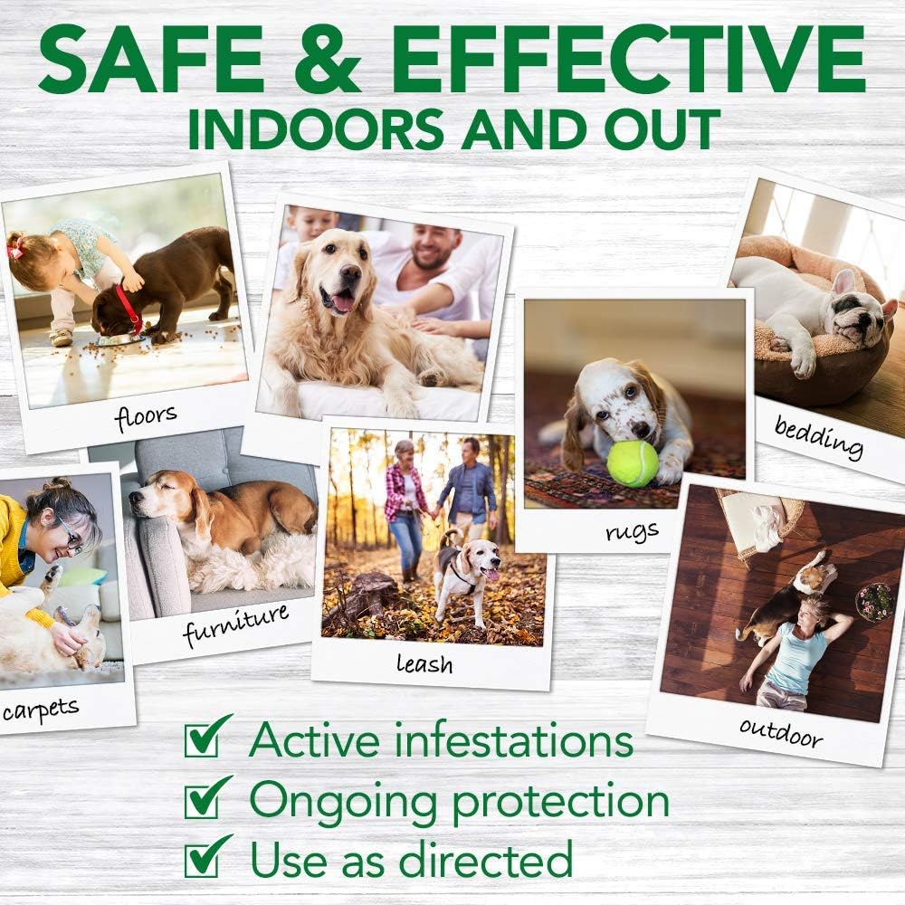 Vet's Best Flea and Tick Home Spray | Flea Treatment for Dogs and Home | Flea Killer with Certified Natural Oils | 32 Ounces : Pest Control Carpet Sprays : Pet Supplies