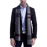 VEXTROFORT Men's Scarf, Fashion Cashmere Feel Scarves for Men Winter Autumn with Tassels Fringes Long