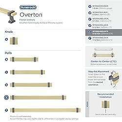 Amerock | Cabinet Pull | Brushed Gold/Black Chrome