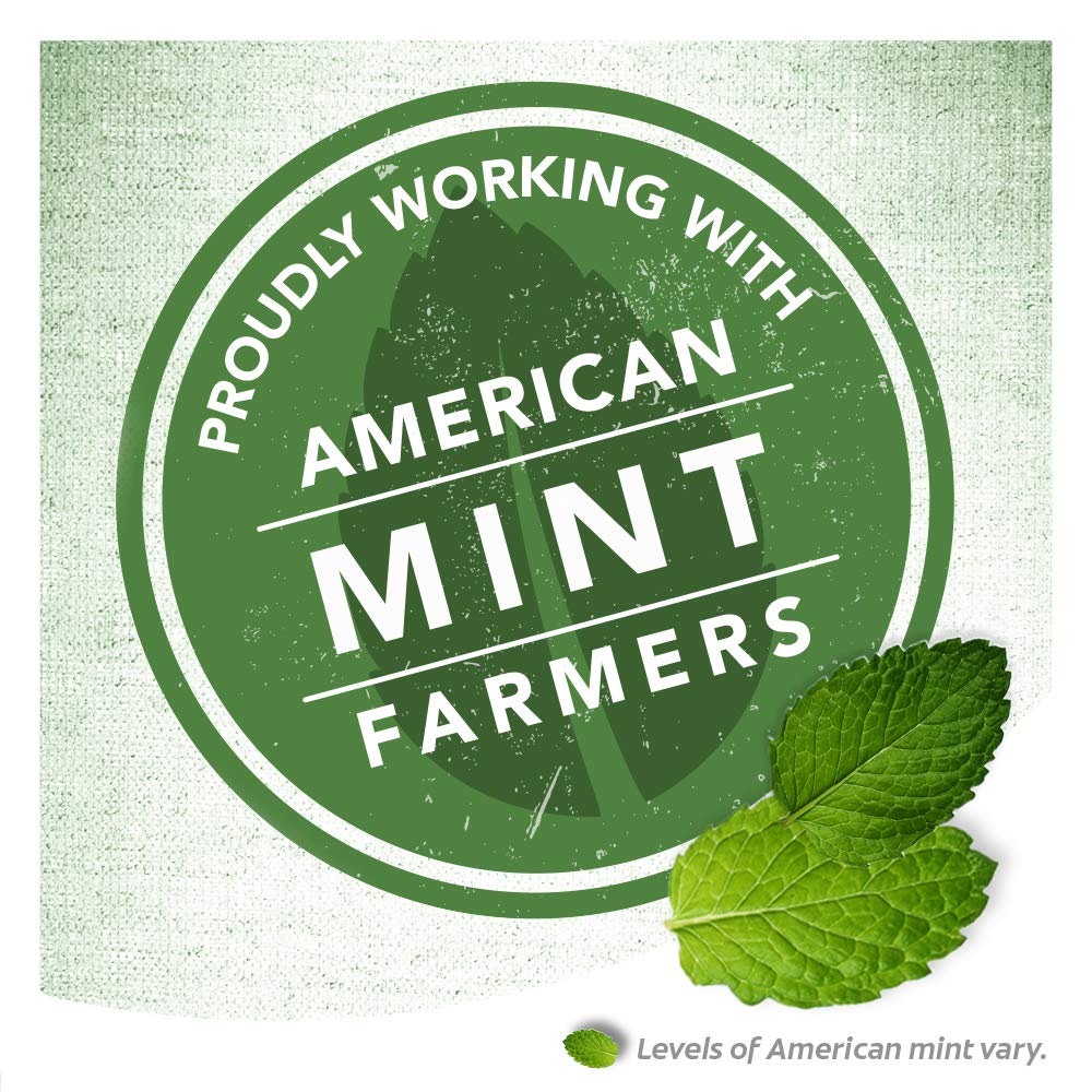 Colgate Cavity Protection Travel Toothpaste with Fluoride, TSA Approved Size - 1 ounce (24 Pack): Beauty