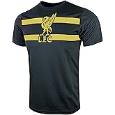 Boy's Liverpool Training Shirt, Licensed Youth Liverpool Short Sleeve Top, T-Shirt