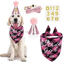 FouFIT Hide N Seek Birthday Roll Cake Dog Toy - Treat Dispensing Plush Puzzle With Squeakers & Crinkle, Large Pink