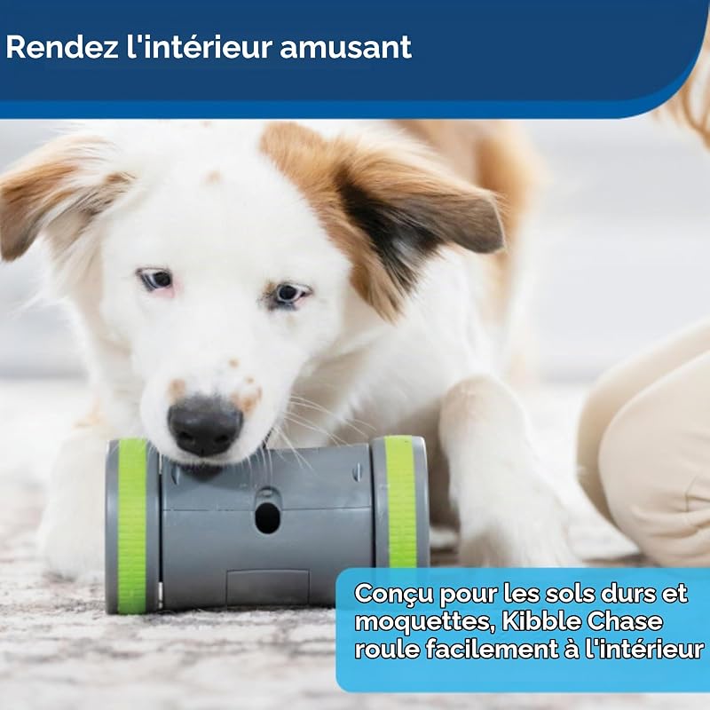 Kibble Chase Jouet Distributeur de friandises pour Chiens, Jouet interactif Robuste, Fonctionne avec 3 Piles AA
