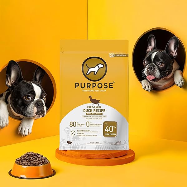 PURPOSE NATURAL DRY DOG FOOD, GRAIN FREE DRY...