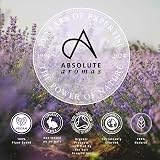Absolute Aromas Goodnight Room Spray 100ml with Lavender Vetiver Chamomile view 5