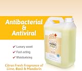 Star Brite Safe Hands Liquid Hand Wash 5L Refill Antibacterial Antiviral Citrus view 5