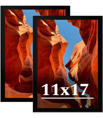Amazon.com - Sixtrees WD23116-80 16 x 20 in. Logan Frame Black