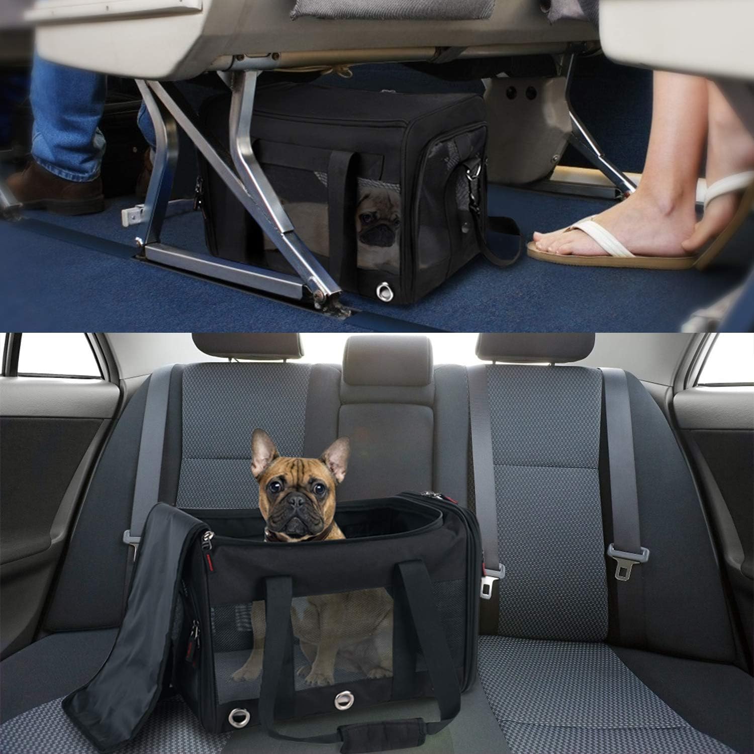 Mancro Pet Carrier Airline Approved, Soft-Sided Pet Travel Bag for Cats with Mesh Windows and Fleece Padding, Collapsible Dog Carrying Case Fit Under Airplane Seat for Kittens, Puppies and Small Dogs : Pet Supplies