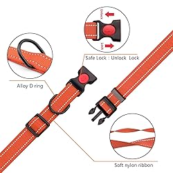 Reflective Dog Collar and Leash Set with Safety