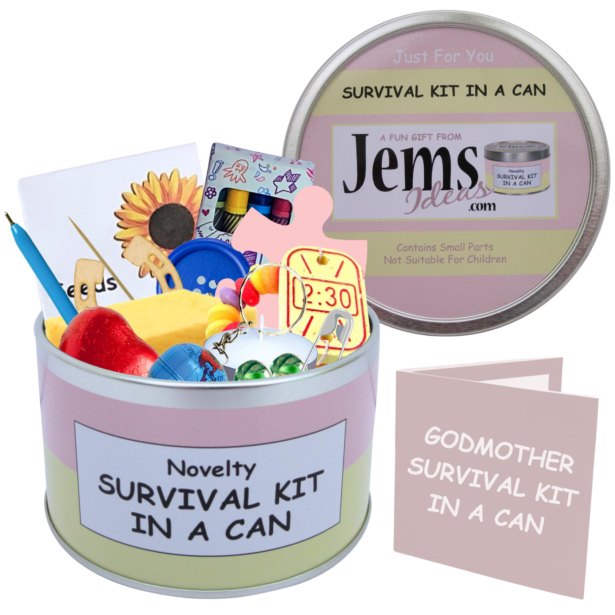 Godmother Survival Kit in a Can – Thank You Gift for Godmother – Unique Keepsake for Baptism, Naming Day, Christmas or Birthday – Funny Novelty Present for Her (Pink/Cream) — image 1