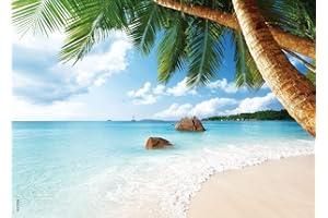 BEDUKE Jigsaw Puzzles 1000 Piece - Every Piece is Unique - for Adults Sturdy Thick Cardboard Puzzle Coastal Beach Precise Interlocking Family Game Age 14+