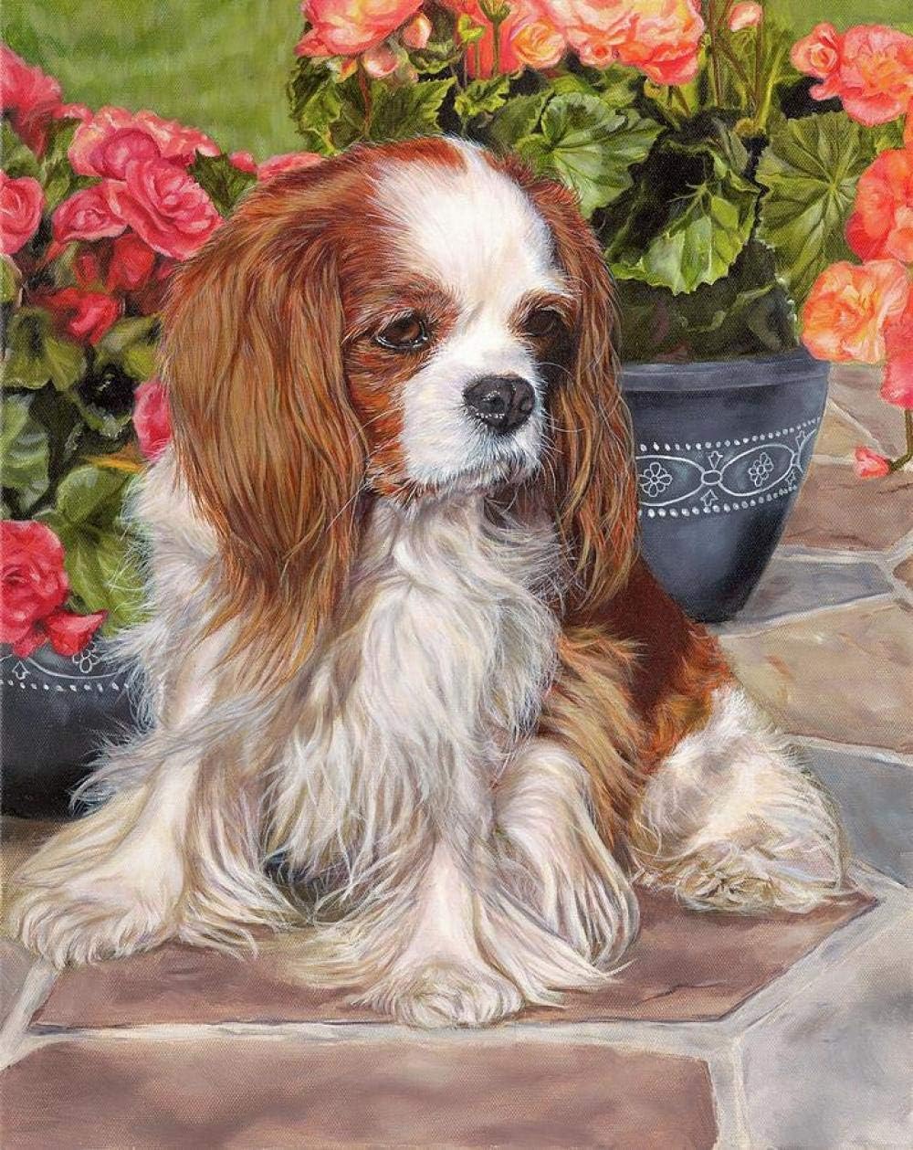 cavalier king charles spaniel with kids