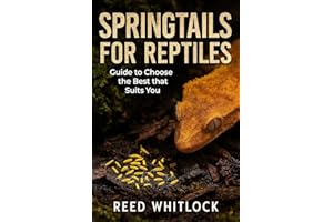 SPRINGTAILS FOR REPTILES