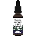 Host Defense Lion's Mane Extract - Brain Health Support Supplement - Mushroom Supplement to Support Focus & Memory Function - Immune & Nervous System Support Supplement - 1 fl oz (30 Servings)*