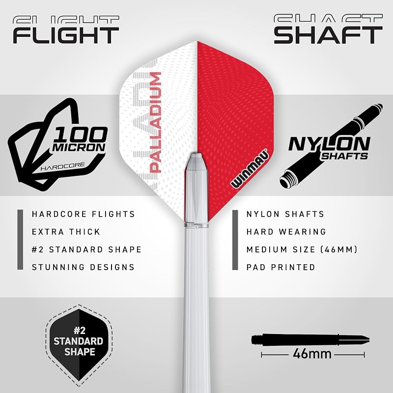 | Professional Darts Set Armoire Noire de Haute qualité