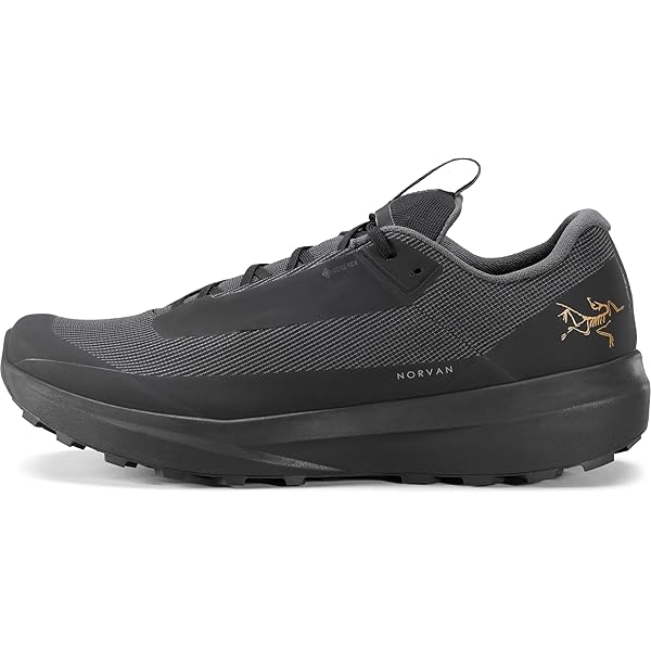 Amazon.com | Arc'teryx Men's Norvan LD 4 GTX - Waterproof Trail
