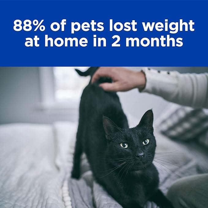 hill's prescription diet metabolic cat