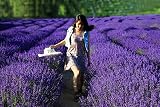 TooGet Fragrant Lavender Buds Natural Dried Flowers Ultra Blue Grade 2 Pounds view 4
