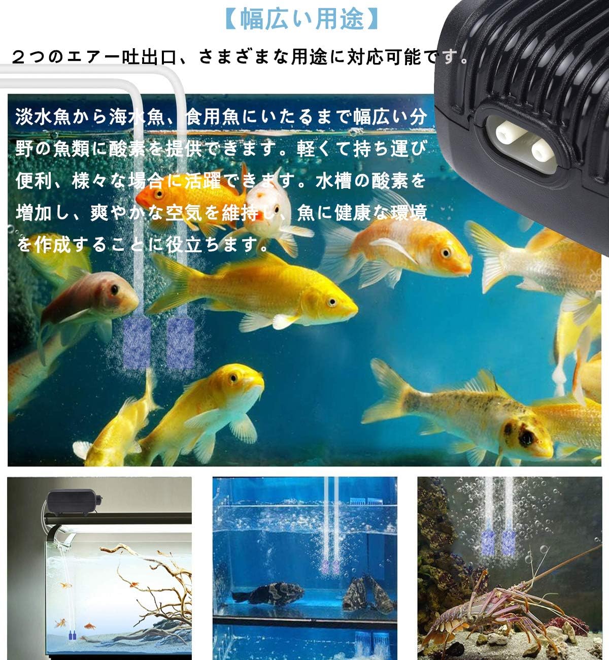 Amazon Kimlonton酸素エアーポンプ 水槽用ポンプ エアーポンプ水槽用 Q7 Hq 602 低騒音 3w 2つ吐出口の酸素ポンプ 2x2 5l Min 排出量調節可能 エアーチューブとバブルストーン付き 効率的に水族館 魚タンク 水槽の酸素補給 Kimlonton エアポンプ 通販